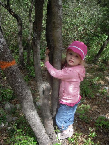 DSCN6610.JPG