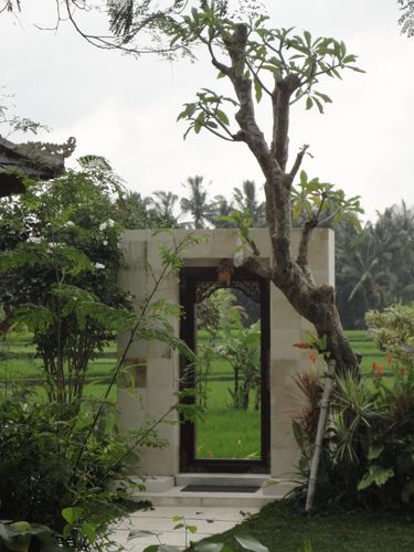 Ubud, rizière, Bali, Indonésie 144 (16)