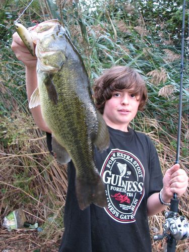 bass47.jpg