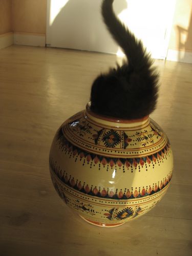 IMG 3309