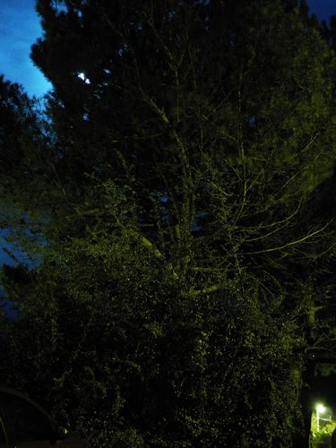 IMGP0302