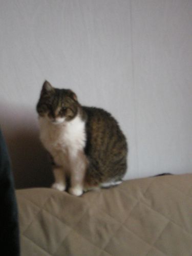 IMGP0009.JPG