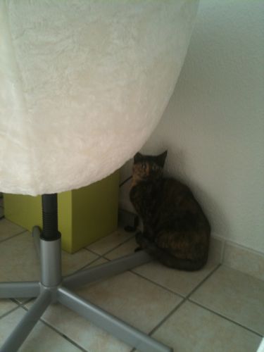Mars-2010 0298[1]