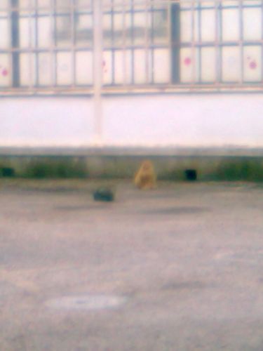 Photo0015