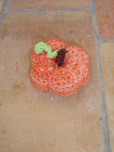 citrouille (3)