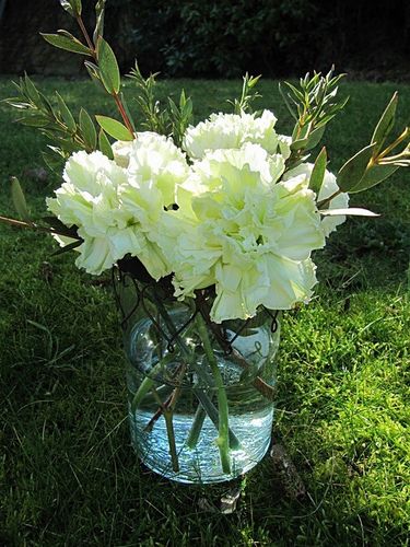 DesFleursDansLeJardin
