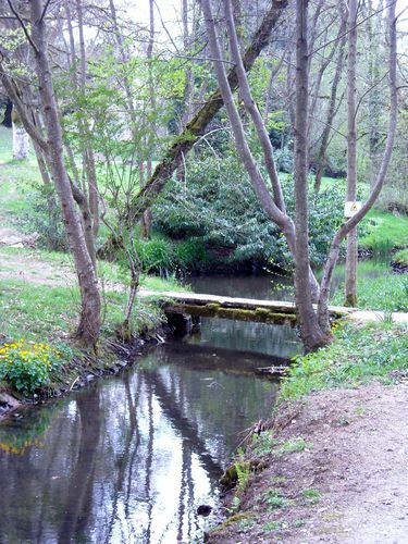 DSCN0946.JPG