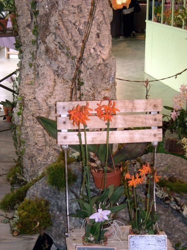 DSCN8223.JPG