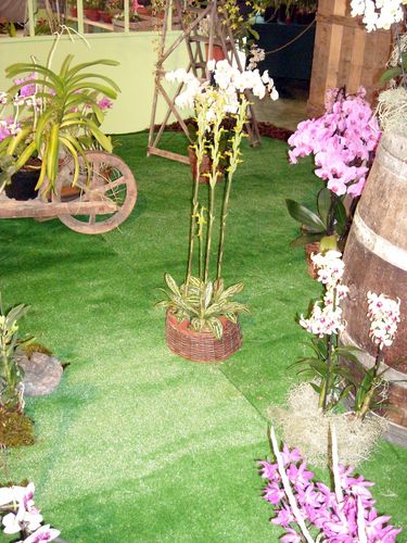 DSCN8231.JPG
