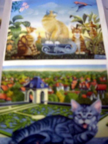 DSCN9032.JPG