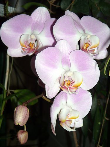 DSCN8887.JPG
