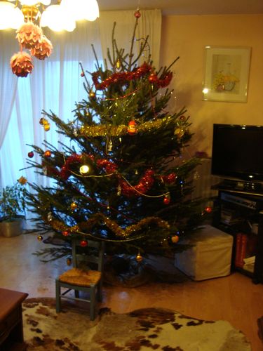 NOEL en famille 2009 013