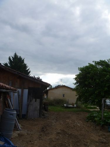 P1020894