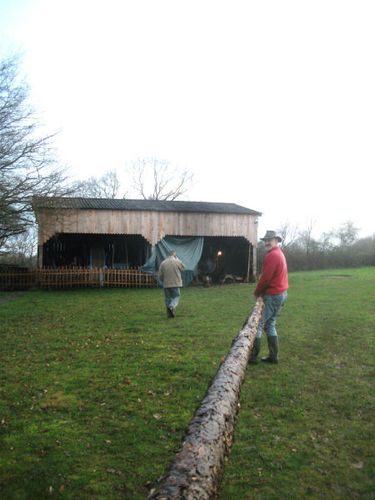 Bourde du Bel Orléans.