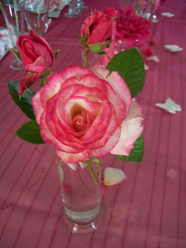 table-roses-003.JPG