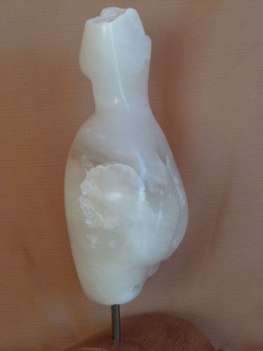 Buste callipyge 2011 b