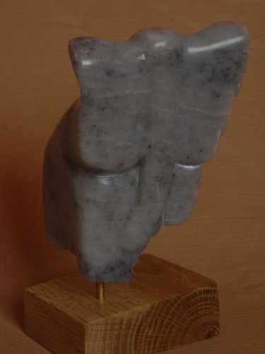 Eléphant 2009