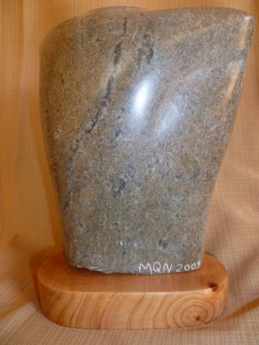 Torse viril 2009 b