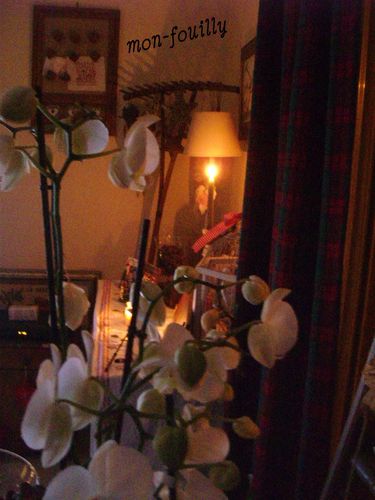 Photo 1270550943ffff