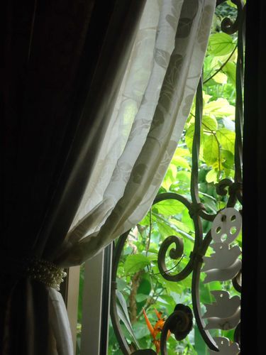 DSC01226.JPG