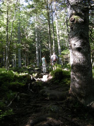 DSCN0498.JPG