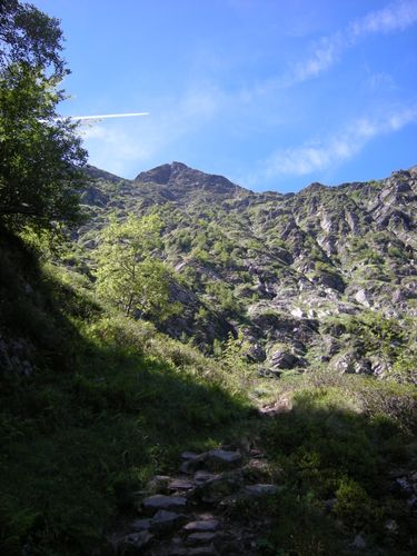 DSCN0526.JPG