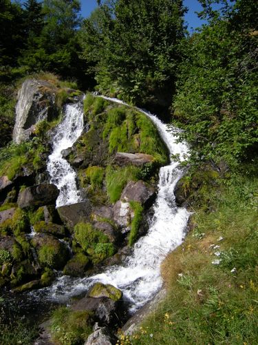 DSCN1368.JPG