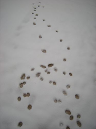 DSCN1656.JPG