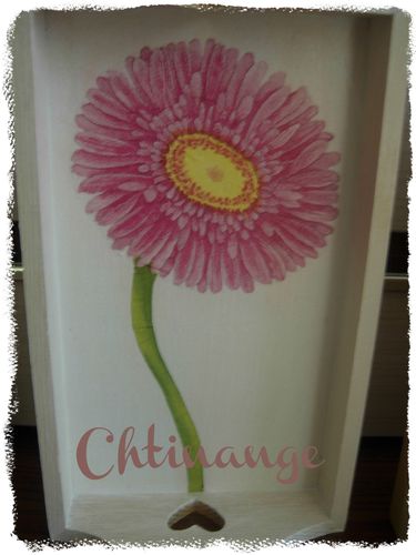 plateau-gerbera.jpg