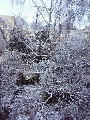 feerie hivernale3