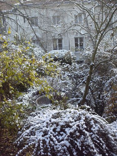 feerie hivernale9