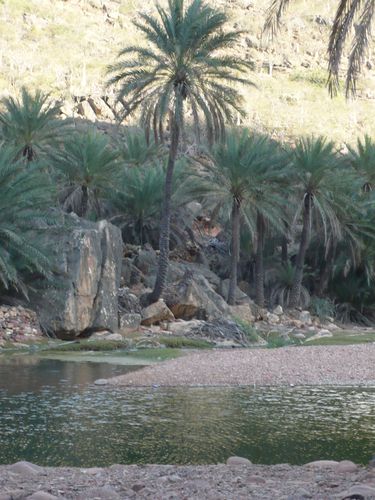 Wadi Faaro (32)