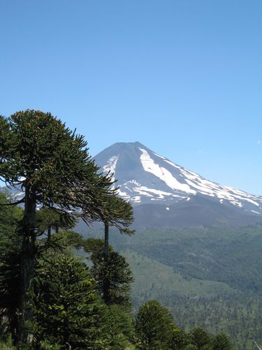 ParqueConguillo-Temuco - (8)AA