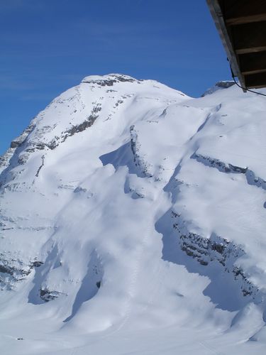 wildsrtubel daubenhorn