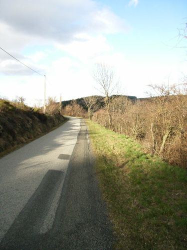 RIMG0011-copie-1.JPG