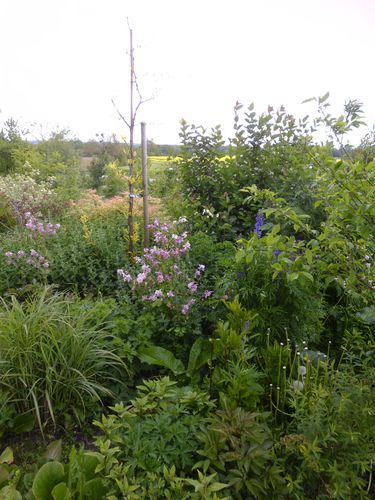 mai-2012--84--copie-1.JPG
