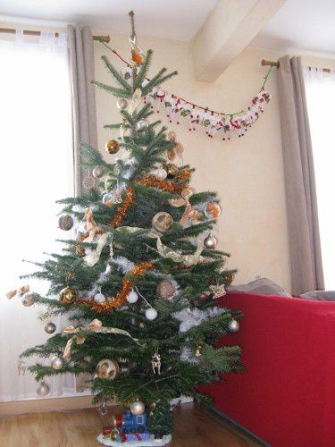sapin-2010 6573 (375x500)