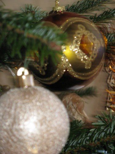 sapin-2010 6605 (375x500)