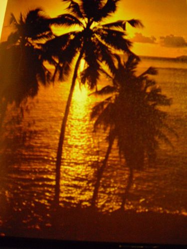 Coucher de soleil aux Seychelles