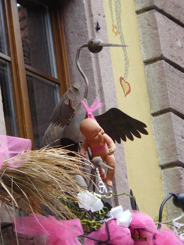 alsace 2010 080
