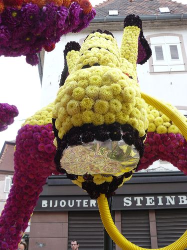 alsace 2010 138