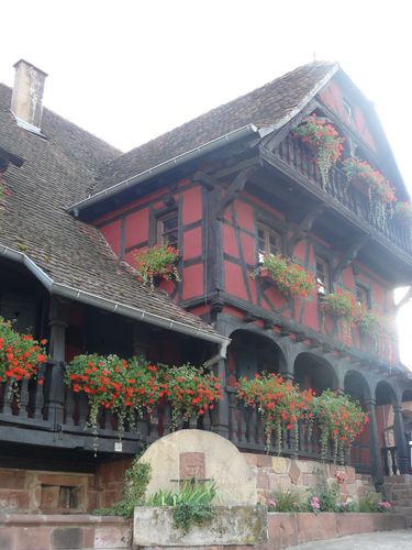 alsace 2010 022 (4)