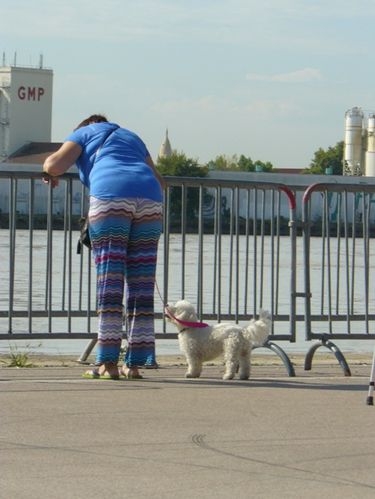 bordeaux2013 038