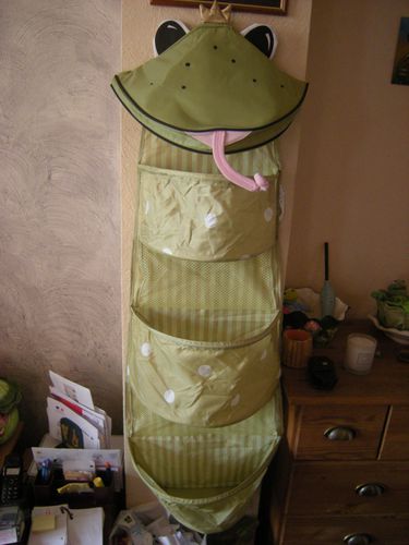 grenouille-salle-de-bain-001.JPG