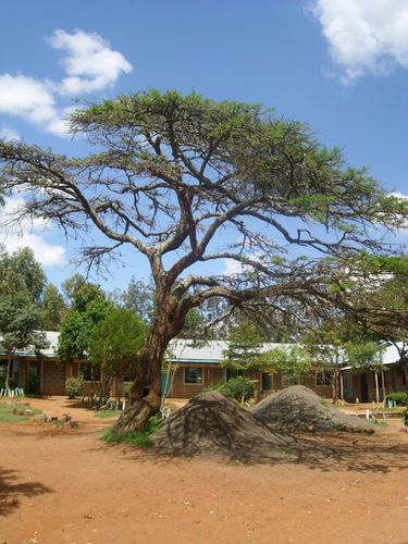 Sipili (Kenya) 4 au 20 août 2010 (181)