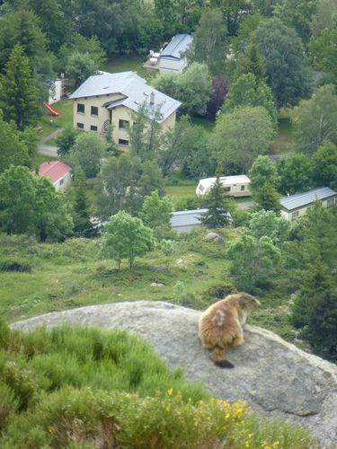 2014. Juin. Séjour à Font-Romeu. 155