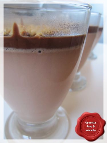 Panna Cotta au deux chocolats2