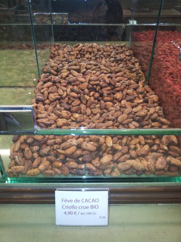 pistacherie feves cacao criollo