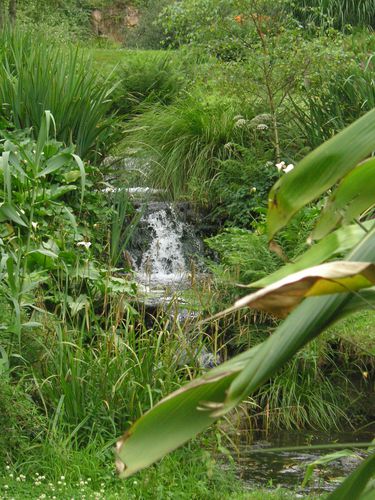 Conservatoire botanique (14)