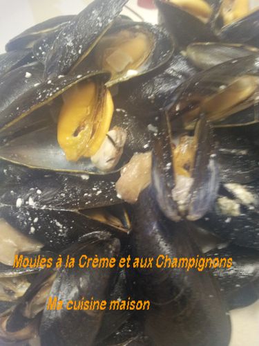 Moules-a-la-creme-et-aux-champignons2.jpg